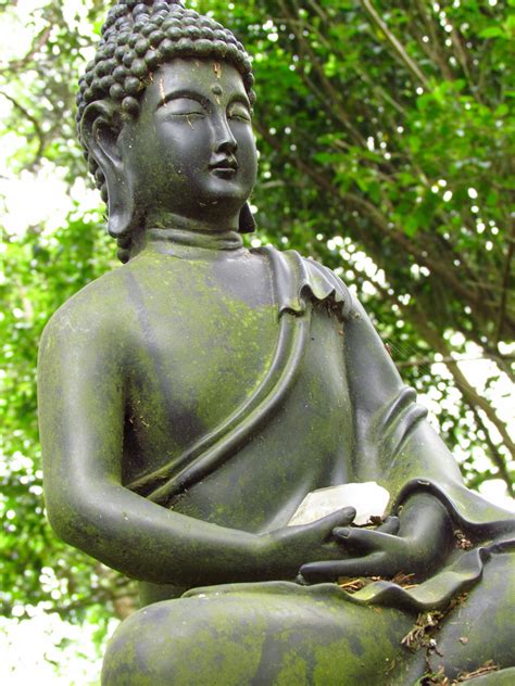 Buddha Free Stock Photo - Public Domain Pictures