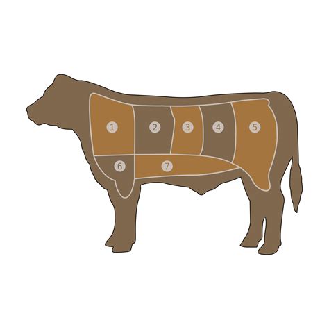 Clipart - Beef Chart