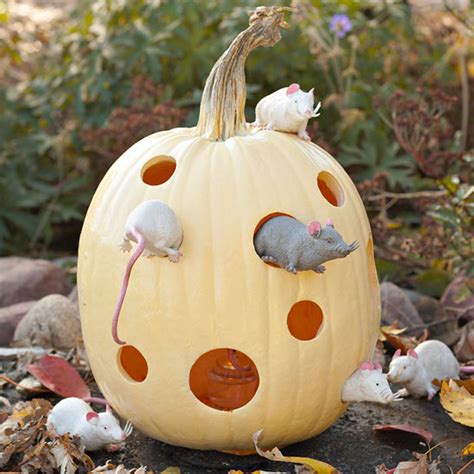 Pumpkin Mouse House Pictures, Photos, and Images for Facebook, Tumblr ...