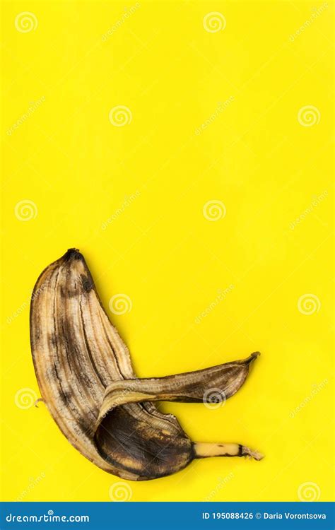 Spoiled Rotten Banana, Peel Isolated on Yellow Background with Copy Space Stock Photo - Image of ...