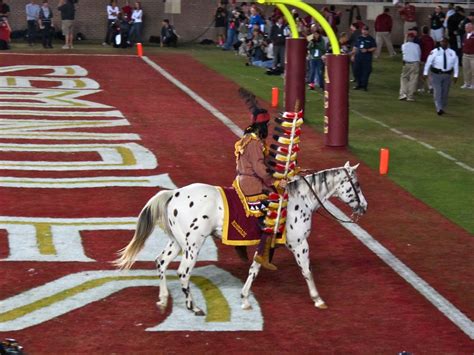 "Renegade" The FSU Seminoles Mascot - Equestrian Stylist