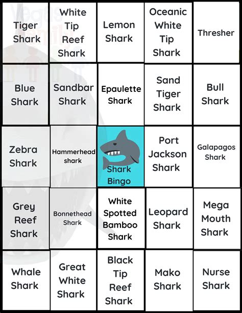 Shark Bingo - Learning About Sharks in Las Vegas