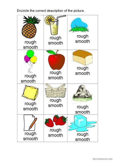 smooth and rough: English ESL worksheets pdf & doc