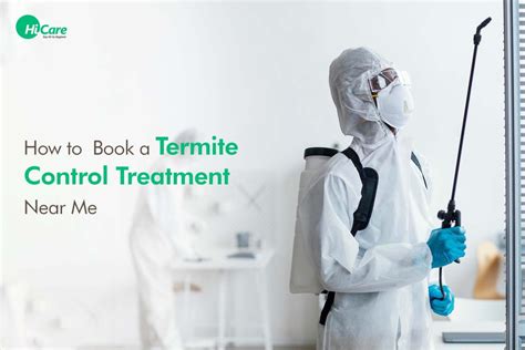 How to Book a Termite Pest Control Treatment Near Me? | HiCare