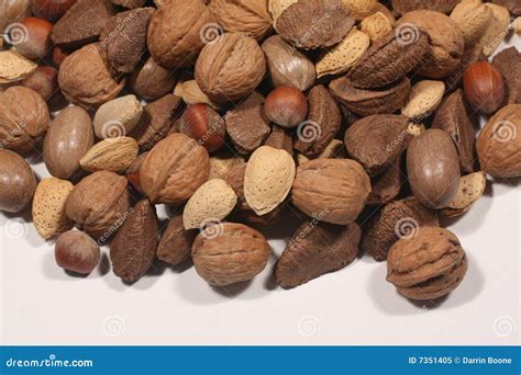 Assorted nuts stock image. Image of food, macadamia, bunch - 7351405