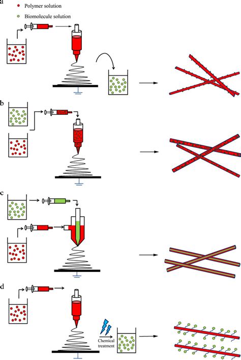 Fabrication techniques of bioactive electrospun scaffolds. a physical... | Download Scientific ...