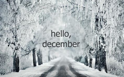 Hello Winter Wallpapers - Top Free Hello Winter Backgrounds - WallpaperAccess