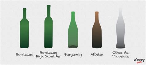 Wine bottle shapes: why are they so different? | WINERY LOVERS