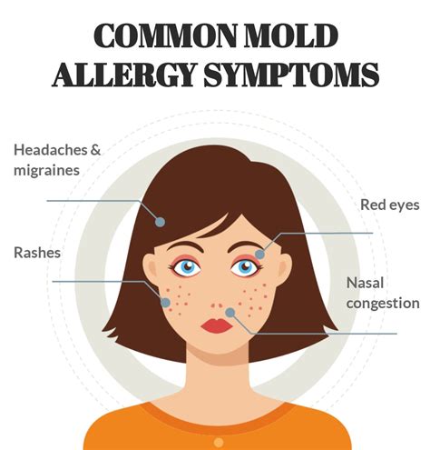 Pin by BlackMoldFix on Mold | Mold exposure, Mold allergy symptoms, Mold allergy