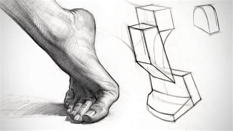 Constructing and Shading the Foot - Anatomy Assignment - YouTube