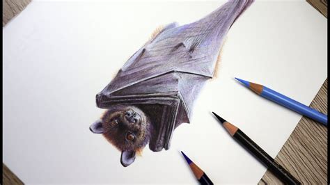 Realistic Bat Drawing