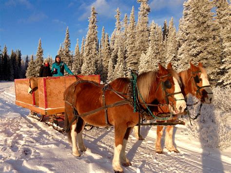 Yukon Winter Experience Package | Yukon Horsepacking Adventures