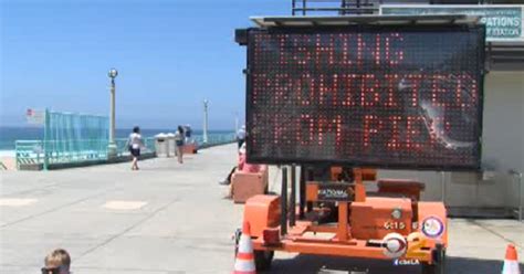 Manhattan Beach Extends Pier Fishing Ban For 60 Days After Shark Bite ...