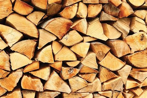 Wood Heat for Your Home: Does It Pay Off?