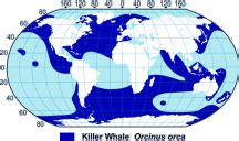 Orca Range Map