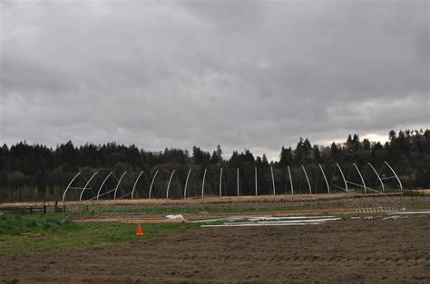 Greenhouse construction, part 1 – Skylight Farms