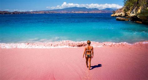 Travel: Indonesia’s extremely rare pink beach - Australian Times News