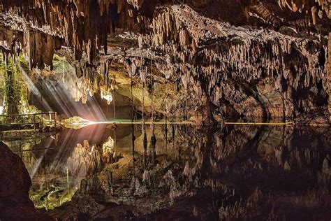 Playa del Carmen Cenote Chaak Tun Guided Tour in Yucatan 2024