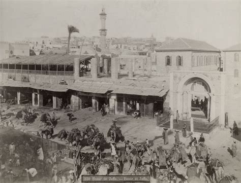 Archive postcard views of Jaffa