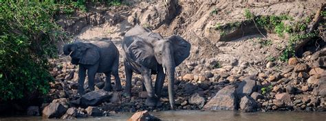 Majete Wildlife Reserve | South Malawi | Malawi Tourism