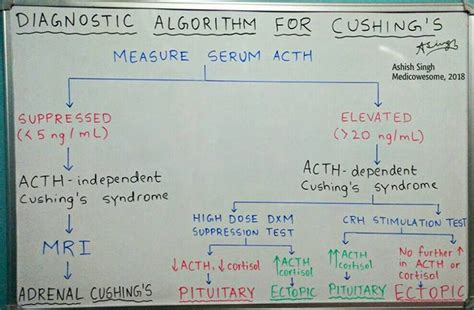 Midnight Salivary Cortisol Test Instructions