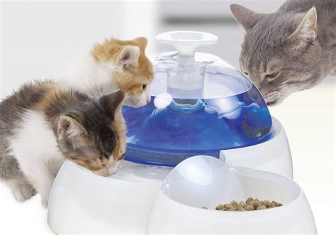 Catit Fresh & Clean Water Fountain Review - How Well Does It Work?