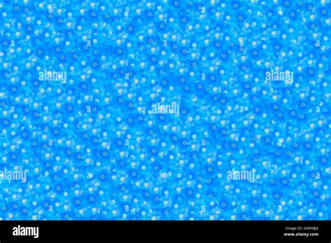 blue forget-me-not flowers background Stock Photo - Alamy