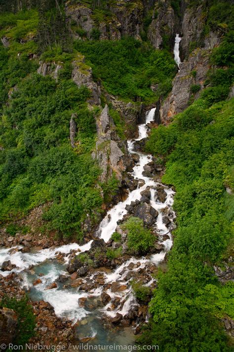 Tongass National Forest | Photos by Ron Niebrugge