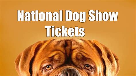 How to Buy National Dog Show 2023 Tickets - Dog Show TV