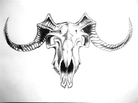 Goat Skull Tattoo Design | Black skull tattoo, Goat skull, Cow skull ...