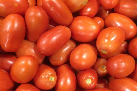 Organic Roma Tomatoes | Produce Geek