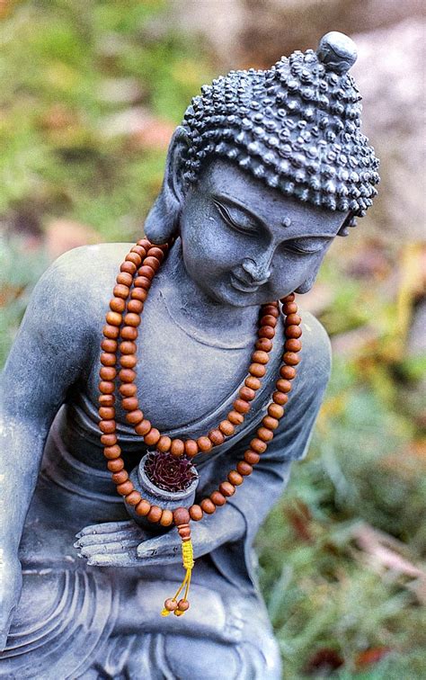 selective, focus photography, gray, gautama buddha figurine, buddha, meditation, statue ...