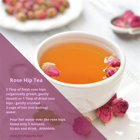 Easy Rose Hip Tea Recipe to Help You Relax – Earth to Kathy