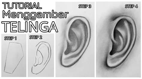 Sketsa Gambar Telinga Ilmu - IMAGESEE