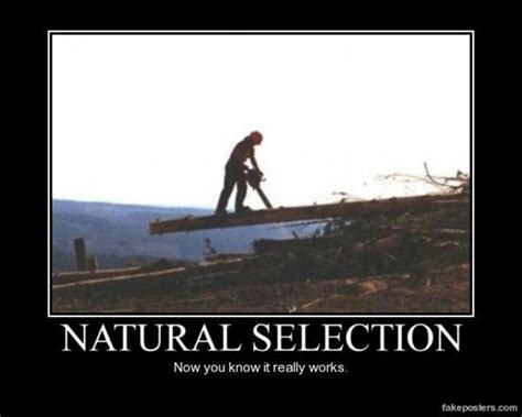 Natural selection Demotivational Quotes, Darwin Awards, Funny Quotes, Funny Memes, Life Quotes ...