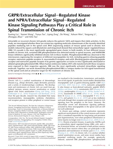 (PDF) GRPR/Extracellular Signal-Regulated Kinase and NPRA/Extracellular Signal-Regulated Kinase ...