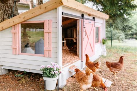 How to Choose Chicken Coops for Sale in Oklahoma | Interior Design Ideas and Architecture ...