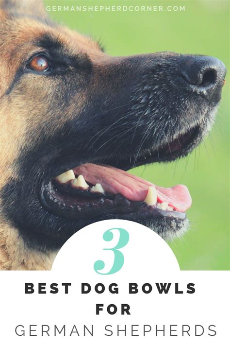 Best Dog Bowls for German Shepherds | Best dogs, Dog bowls, German shepherd