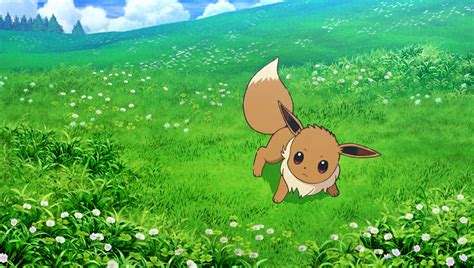 Risa's Eevee | Pokémon Wiki | Fandom