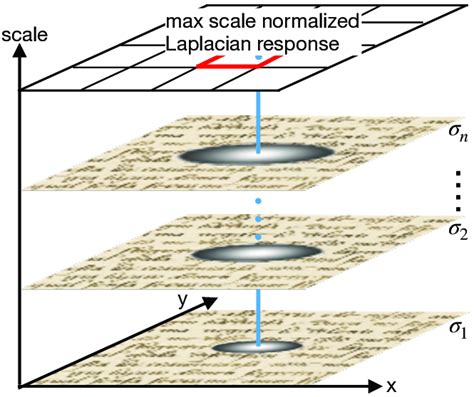 Scale-space representation with automatic scale selection is achieved... | Download Scientific ...