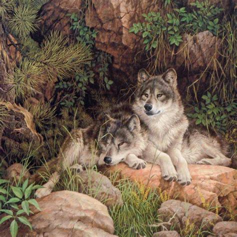 Soul Mates Gray Wolves Larry Fanning Lithograph Hand Signed Numbered – Art Deals