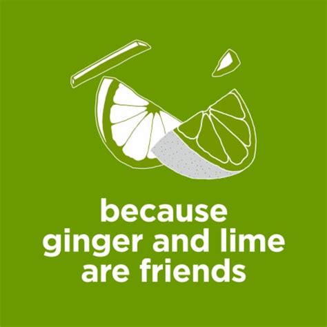 Diet Coke Ginger Lime Diet Soda Pop No Sugar Added Zero Calorie Soda ...