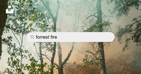 Forrest Fire Pictures | Download Free Images on Unsplash