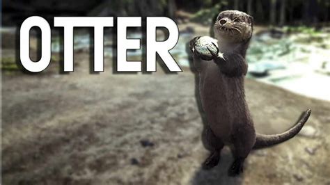 ARK: Otter - How to Tame, Feed and Breed!