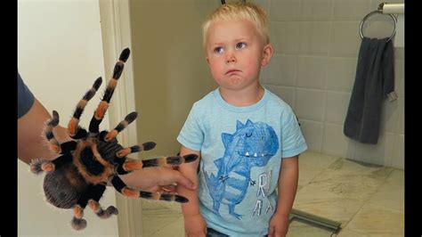 😭 SCARY SPIDER PRANK! 🕷 - YouTube