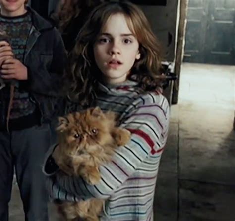 Don't Believe The New Harry Potter Theory About Hermione's Cat For The Win | atelier-yuwa.ciao.jp