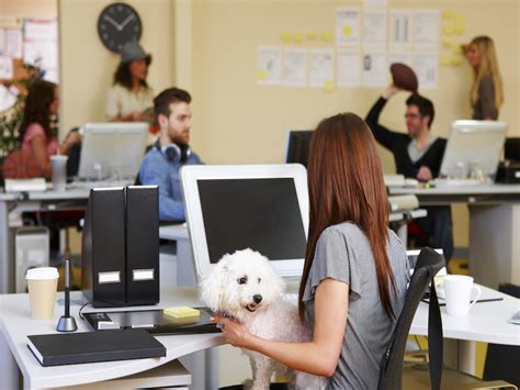 How important are pet perks at work? | Benefits Canada.com