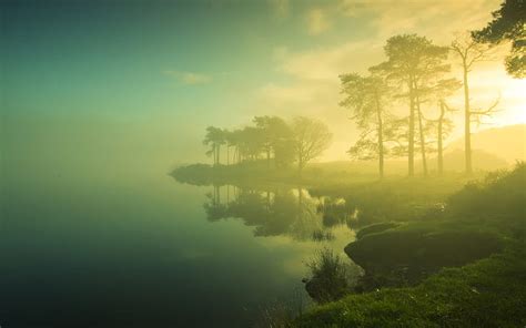 HD wallpaper: Beautiful dawn scenery, trees, lake, mist, sunrise, blurry | Wallpaper Flare