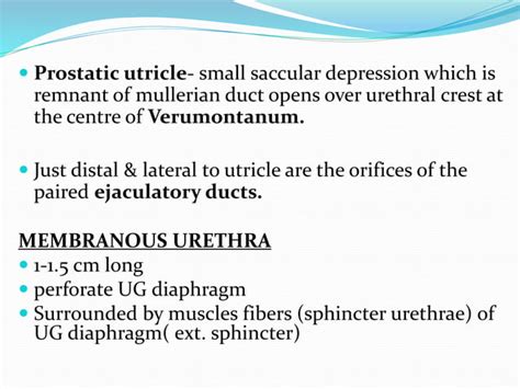 Antegrade & retrograde urethrogram