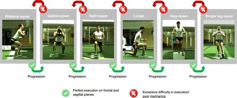 A outline of our single leg squat task progression, beginning with... | Download Scientific Diagram